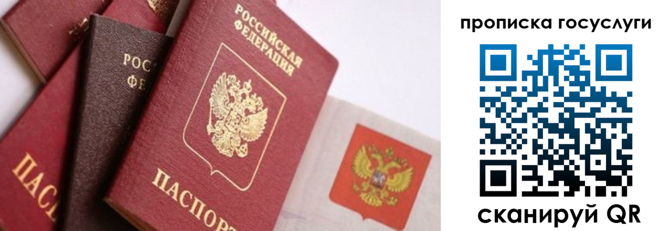 прописка законно в Стародубе